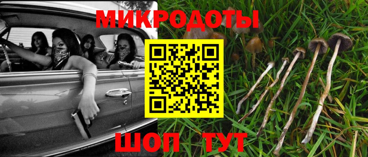 Галлюциногенные грибы мицелий Красноармейск